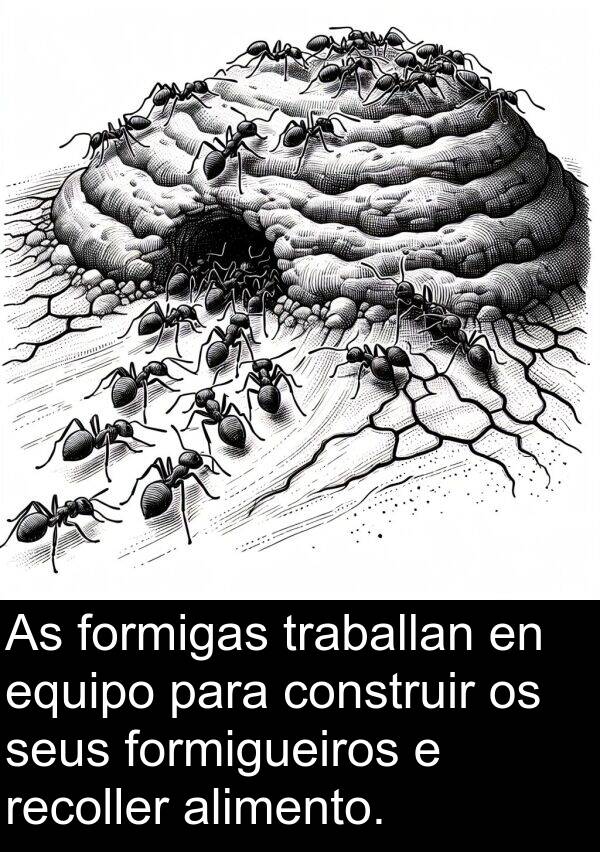 recoller: As formigas traballan en equipo para construir os seus formigueiros e recoller alimento.