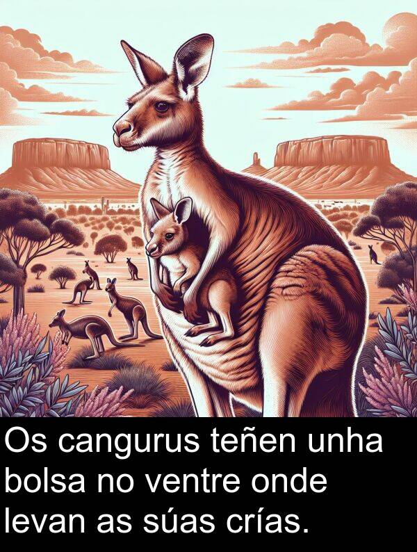 bolsa: Os cangurus teñen unha bolsa no ventre onde levan as súas crías.