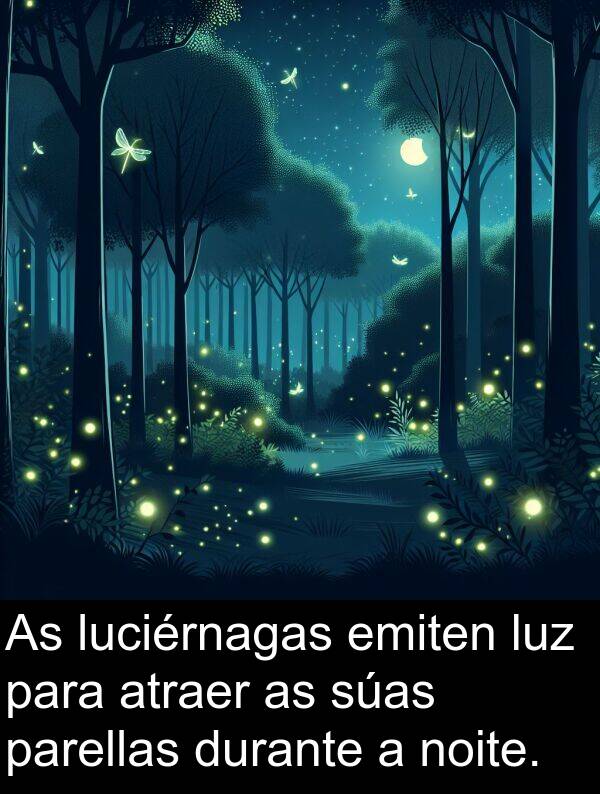 emiten: As luciérnagas emiten luz para atraer as súas parellas durante a noite.