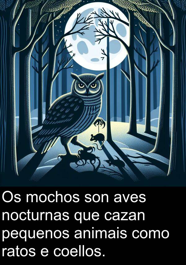 ratos: Os mochos son aves nocturnas que cazan pequenos animais como ratos e coellos.