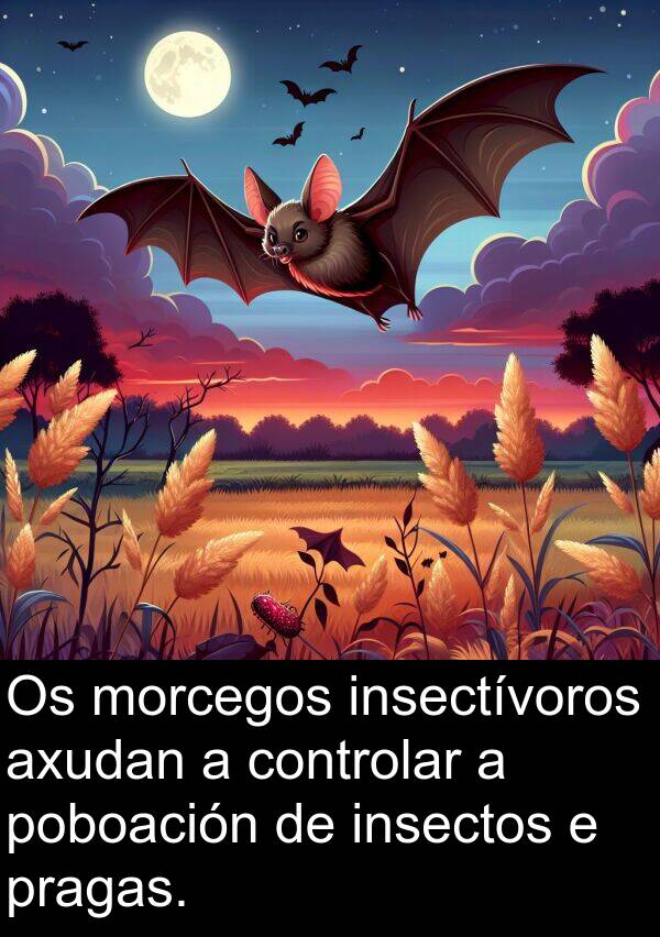 controlar: Os morcegos insectívoros axudan a controlar a poboación de insectos e pragas.