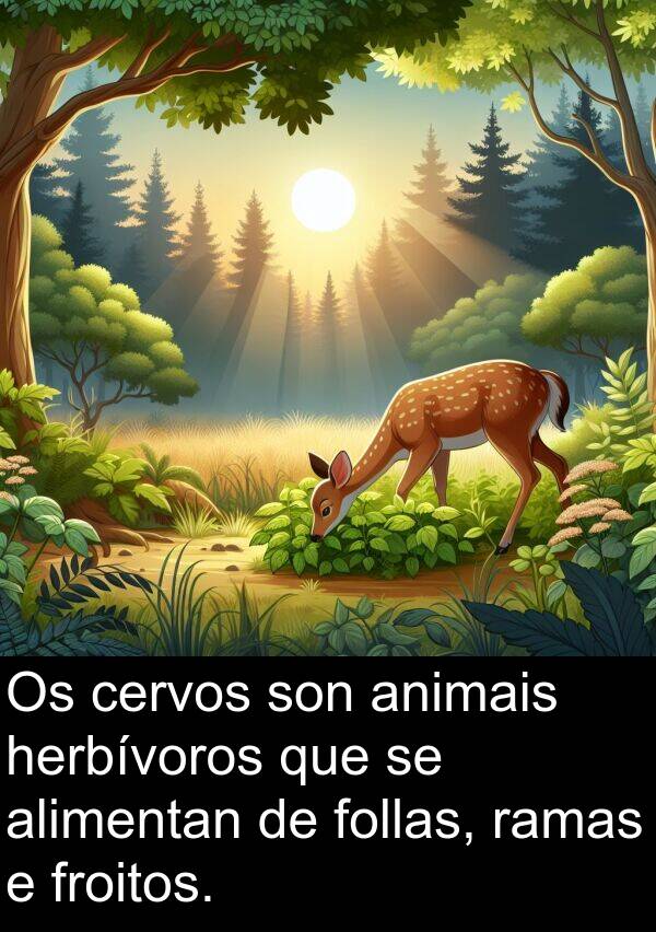 ramas: Os cervos son animais herbívoros que se alimentan de follas, ramas e froitos.