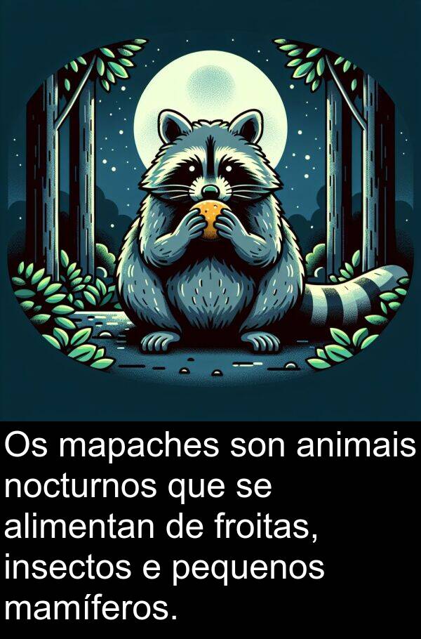 froitas: Os mapaches son animais nocturnos que se alimentan de froitas, insectos e pequenos mamíferos.