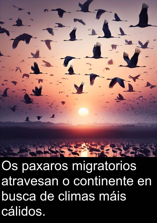 climas: Os paxaros migratorios atravesan o continente en busca de climas máis cálidos.