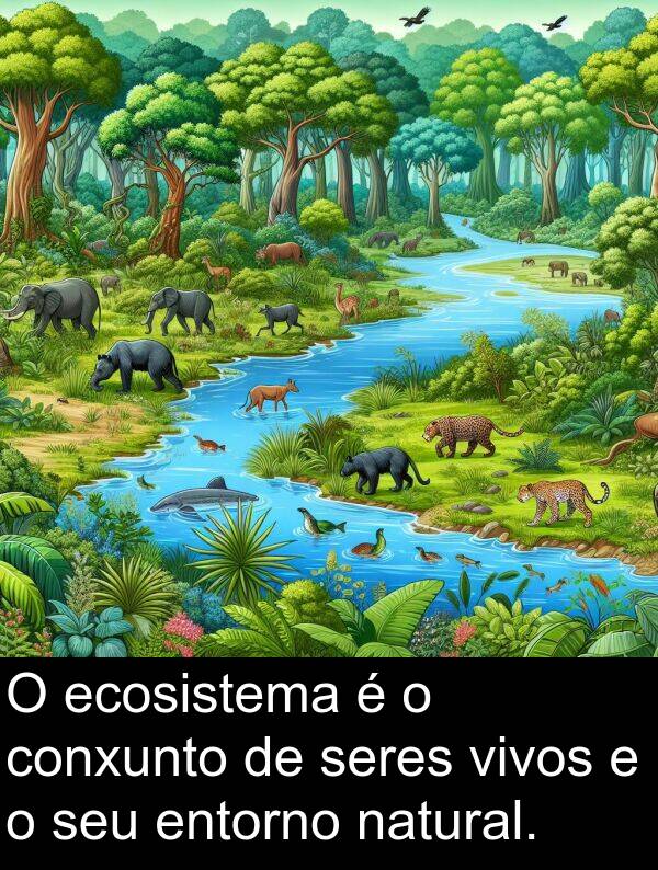 seres: O ecosistema é o conxunto de seres vivos e o seu entorno natural.