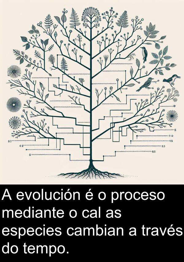 mediante: A evolución é o proceso mediante o cal as especies cambian a través do tempo.