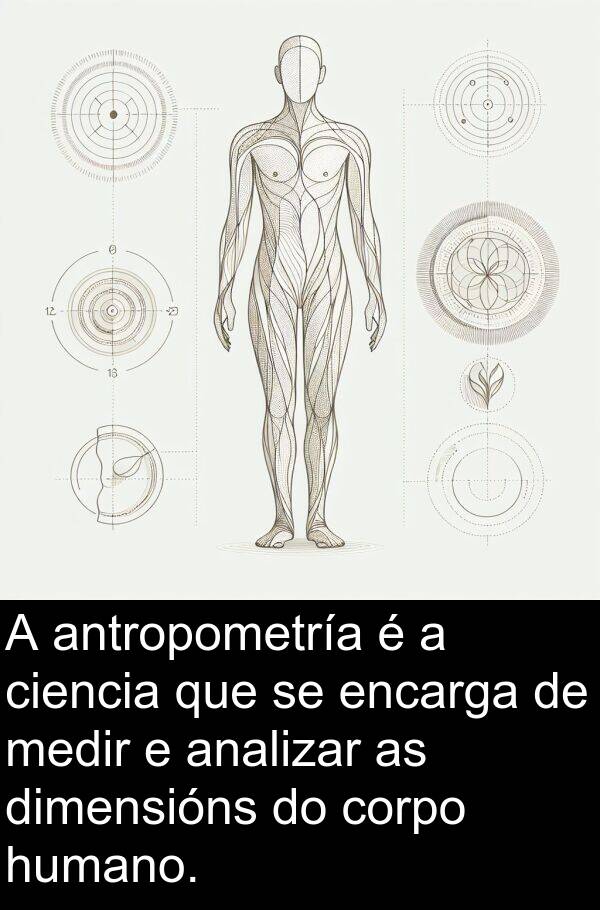medir: A antropometría é a ciencia que se encarga de medir e analizar as dimensións do corpo humano.