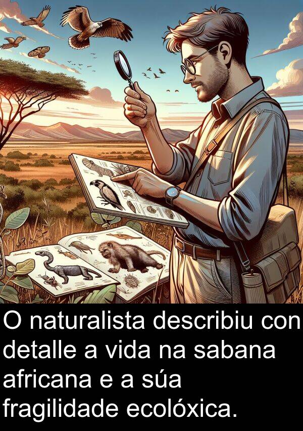 fragilidade: O naturalista describiu con detalle a vida na sabana africana e a súa fragilidade ecolóxica.