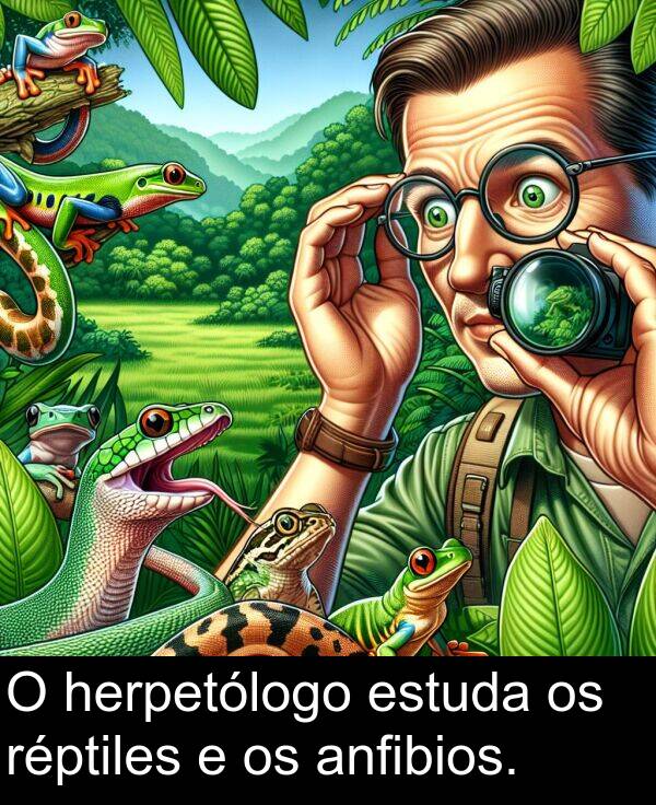 estuda: O herpetólogo estuda os réptiles e os anfibios.