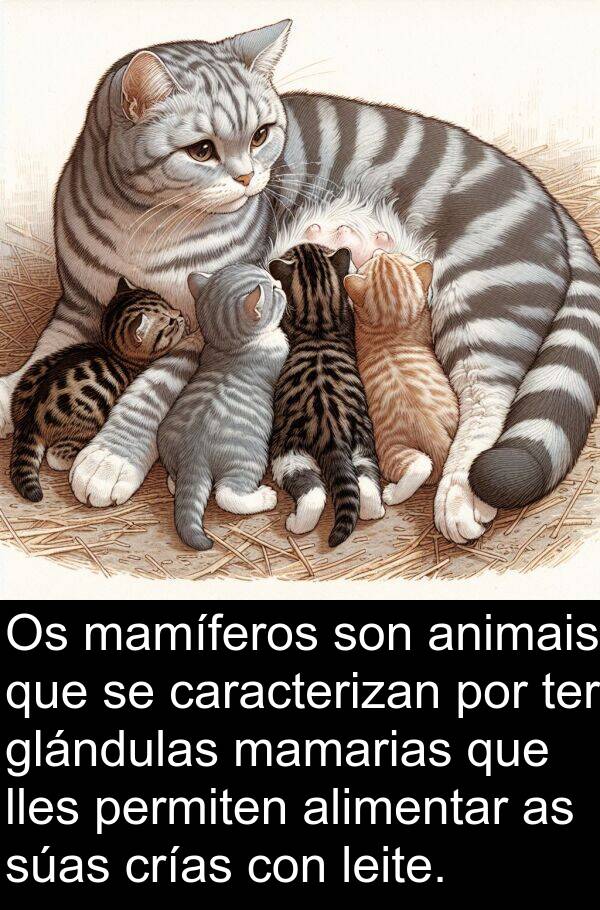 ter: Os mamíferos son animais que se caracterizan por ter glándulas mamarias que lles permiten alimentar as súas crías con leite.