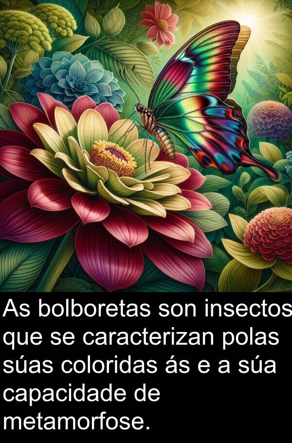 metamorfose: As bolboretas son insectos que se caracterizan polas súas coloridas ás e a súa capacidade de metamorfose.