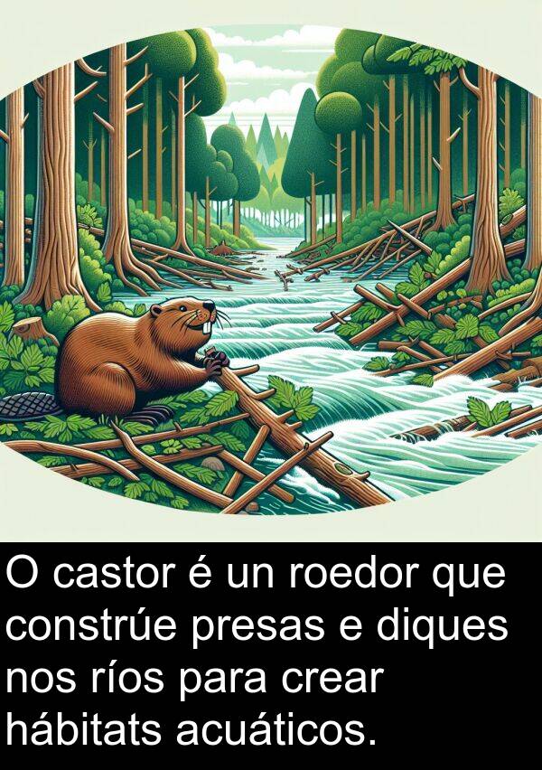 ríos: O castor é un roedor que constrúe presas e diques nos ríos para crear hábitats acuáticos.