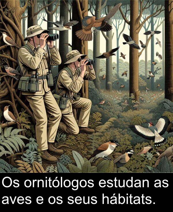 estudan: Os ornitólogos estudan as aves e os seus hábitats.