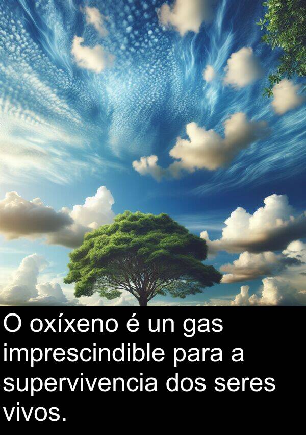 seres: O oxíxeno é un gas imprescindible para a supervivencia dos seres vivos.