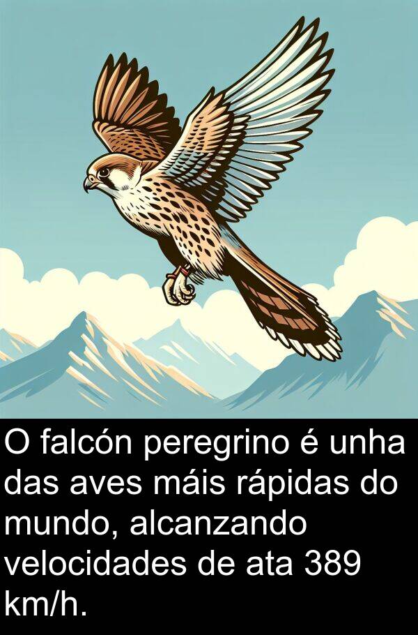 rápidas: O falcón peregrino é unha das aves máis rápidas do mundo, alcanzando velocidades de ata 389 km/h.