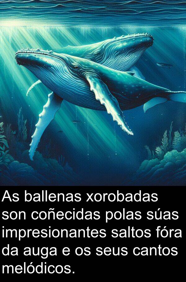 fóra: As ballenas xorobadas son coñecidas polas súas impresionantes saltos fóra da auga e os seus cantos melódicos.