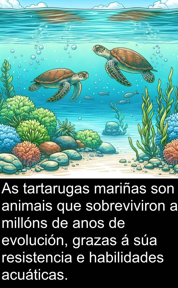 resistencia: As tartarugas mariñas son animais que sobreviviron a millóns de anos de evolución, grazas á súa resistencia e habilidades acuáticas.