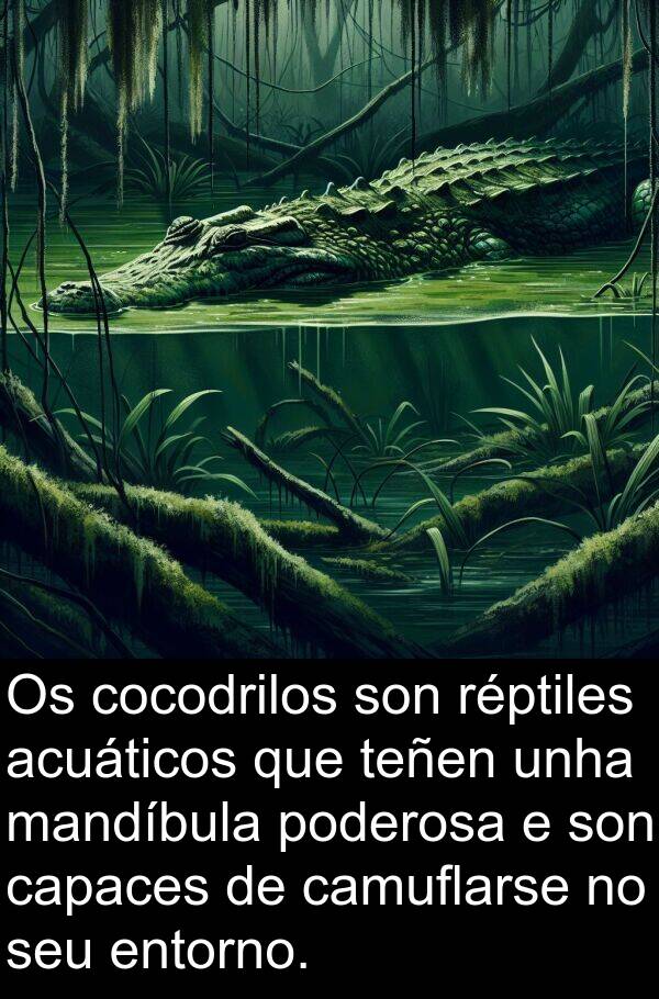 entorno: Os cocodrilos son réptiles acuáticos que teñen unha mandíbula poderosa e son capaces de camuflarse no seu entorno.