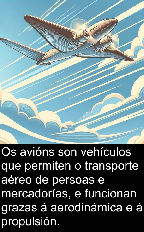 funcionan: Os avións son vehículos que permiten o transporte aéreo de persoas e mercadorías, e funcionan grazas á aerodinámica e á propulsión.