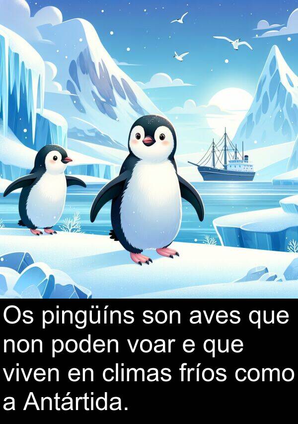 pingüíns: Os pingüíns son aves que non poden voar e que viven en climas fríos como a Antártida.