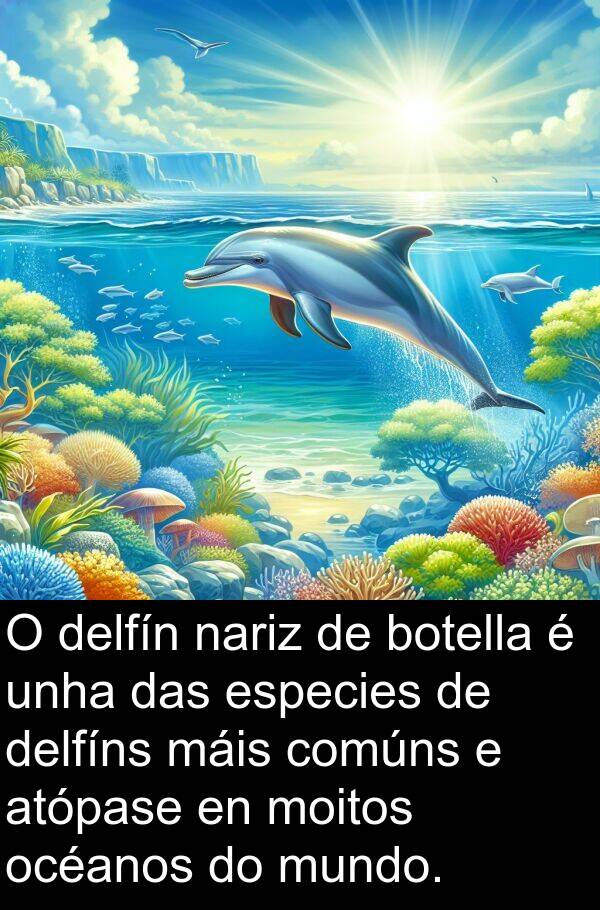 especies: O delfín nariz de botella é unha das especies de delfíns máis comúns e atópase en moitos océanos do mundo.