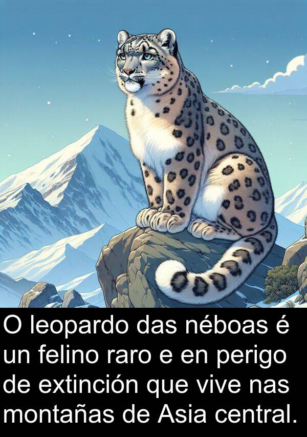 raro: O leopardo das néboas é un felino raro e en perigo de extinción que vive nas montañas de Asia central.
