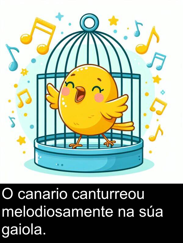 canario: O canario canturreou melodiosamente na súa gaiola.