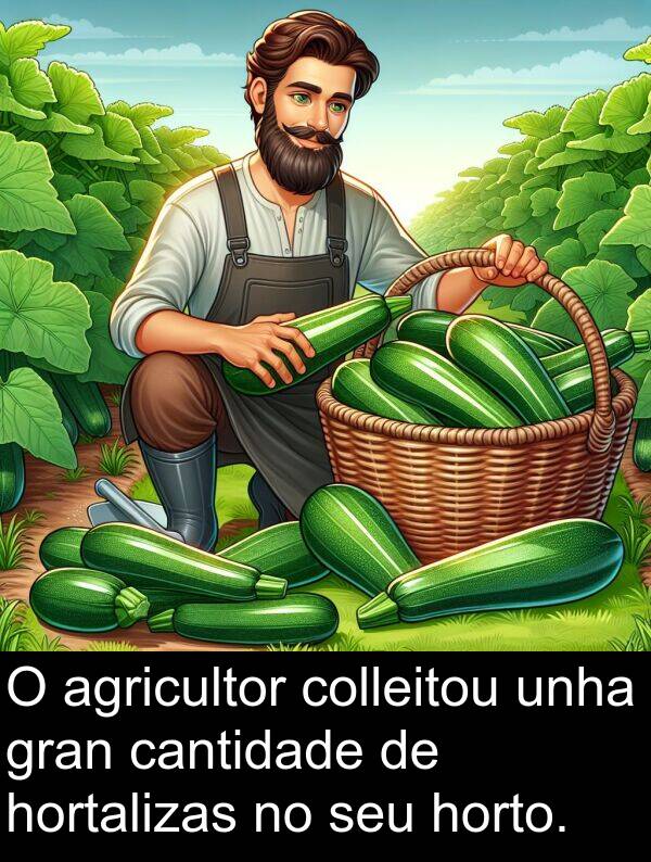 agricultor: O agricultor colleitou unha gran cantidade de hortalizas no seu horto.