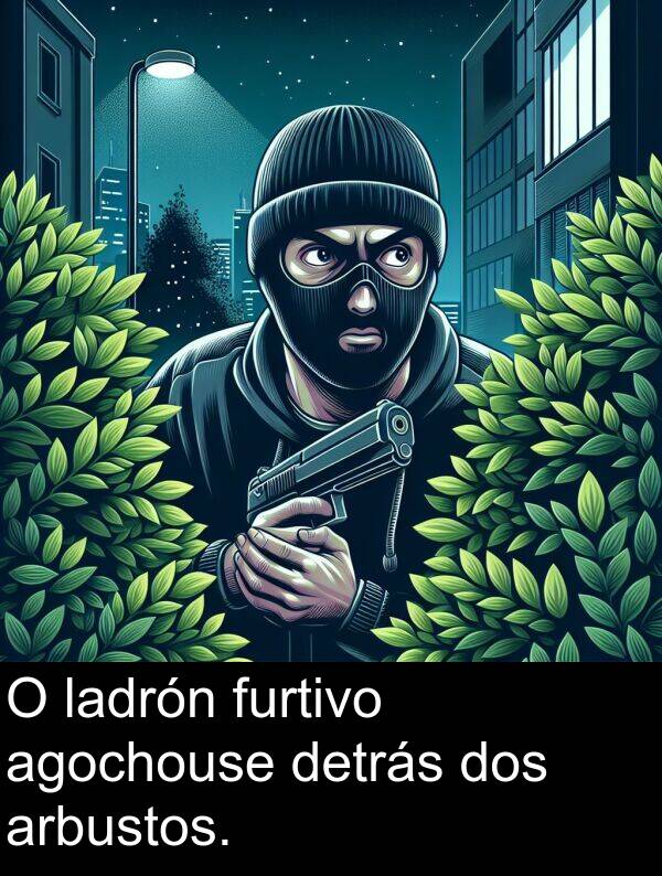 furtivo: O ladrón furtivo agochouse detrás dos arbustos.
