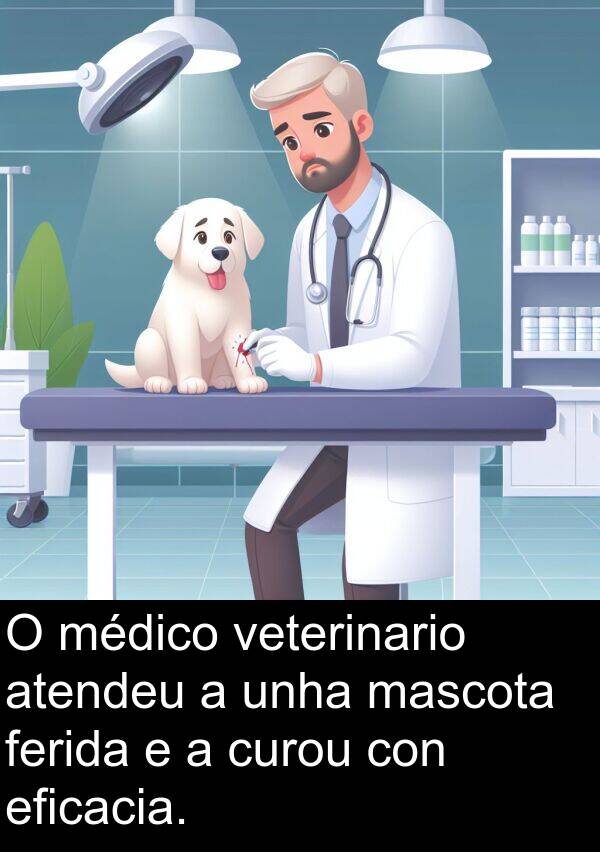 médico: O médico veterinario atendeu a unha mascota ferida e a curou con eficacia.