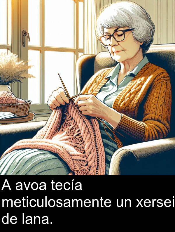 xersei: A avoa tecía meticulosamente un xersei de lana.