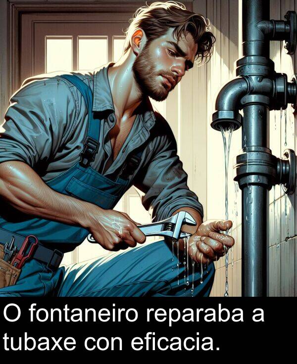 reparaba: O fontaneiro reparaba a tubaxe con eficacia.