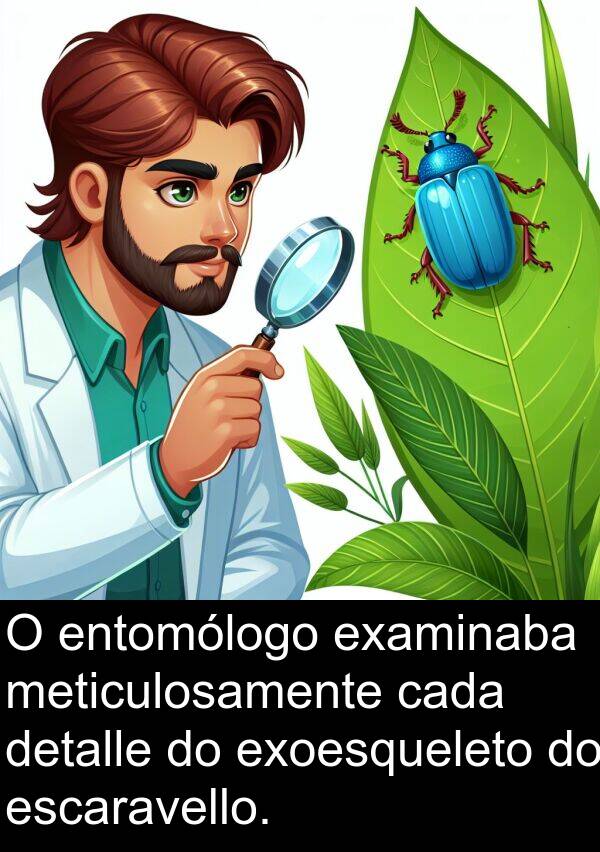 escaravello: O entomólogo examinaba meticulosamente cada detalle do exoesqueleto do escaravello.