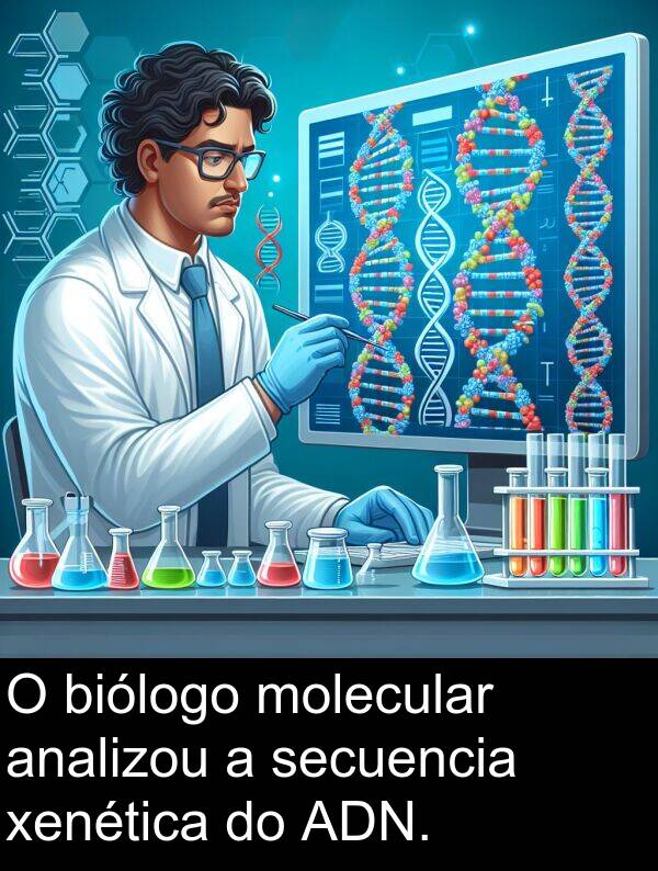 analizou: O biólogo molecular analizou a secuencia xenética do ADN.