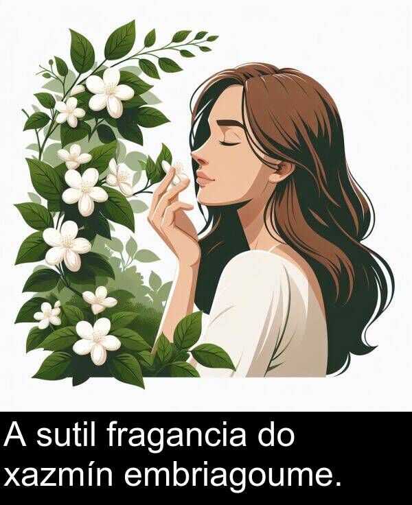 fragancia: A sutil fragancia do xazmín embriagoume.