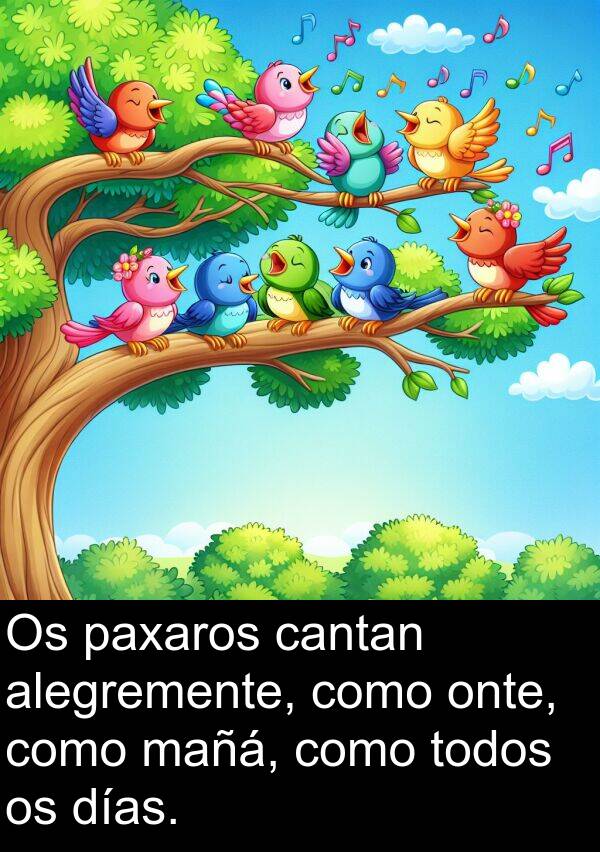 alegremente: Os paxaros cantan alegremente, como onte, como mañá, como todos os días.