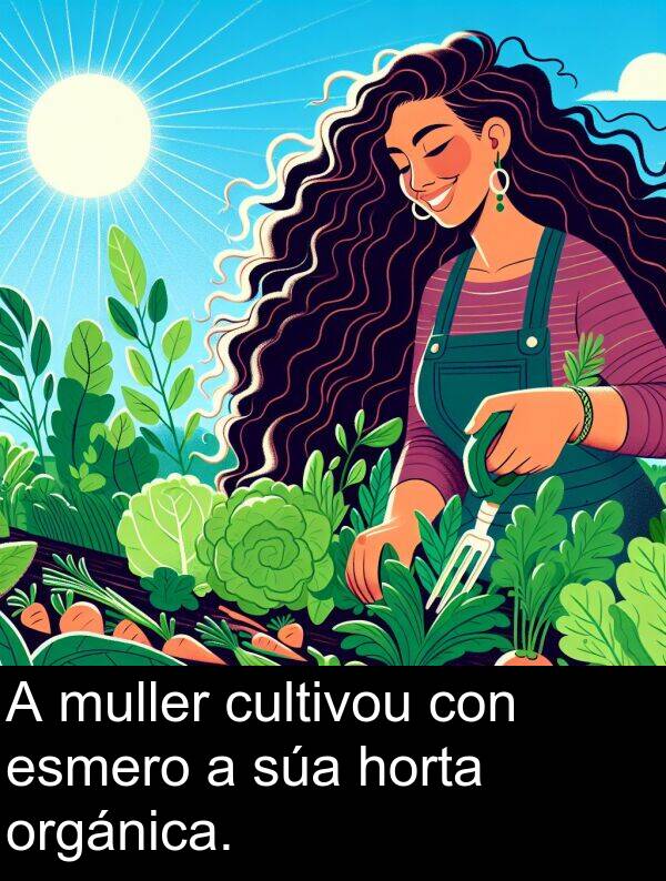 esmero: A muller cultivou con esmero a súa horta orgánica.