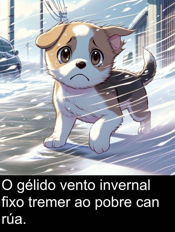 vento: O gélido vento invernal fixo tremer ao pobre can rúa.