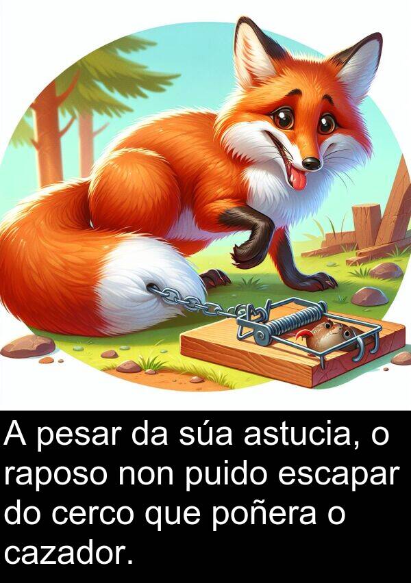 pesar: A pesar da súa astucia, o raposo non puido escapar do cerco que poñera o cazador.