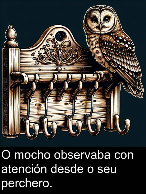 mocho: O mocho observaba con atención desde o seu perchero.