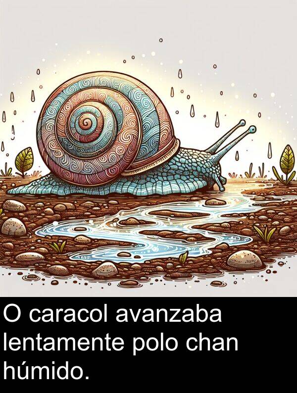 caracol: O caracol avanzaba lentamente polo chan húmido.