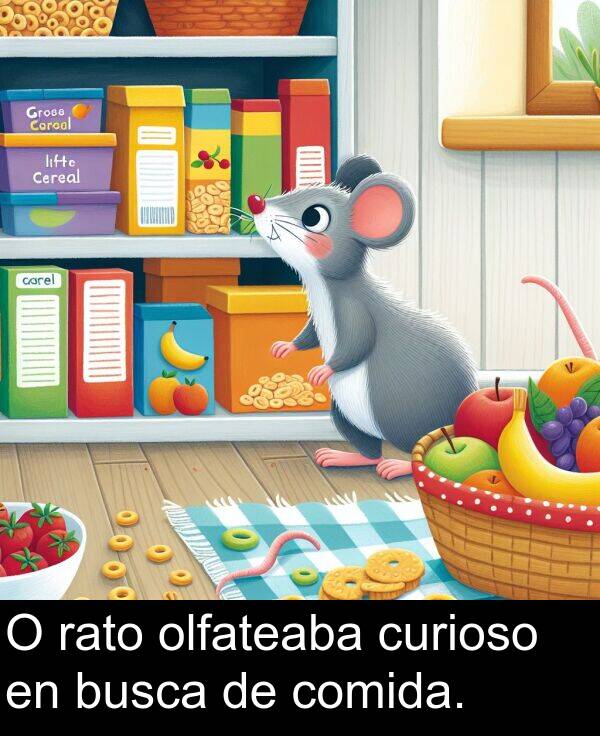 curioso: O rato olfateaba curioso en busca de comida.
