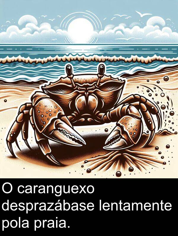 caranguexo: O caranguexo desprazábase lentamente pola praia.