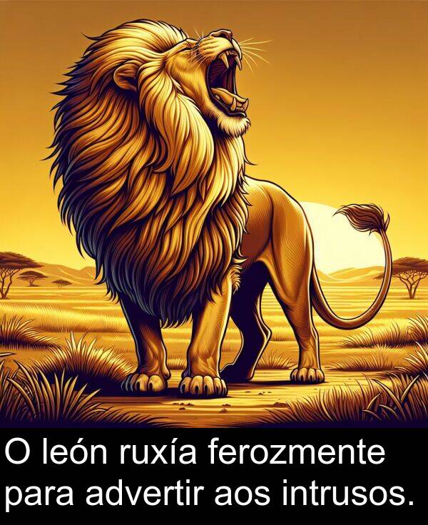 ruxía: O león ruxía ferozmente para advertir aos intrusos.