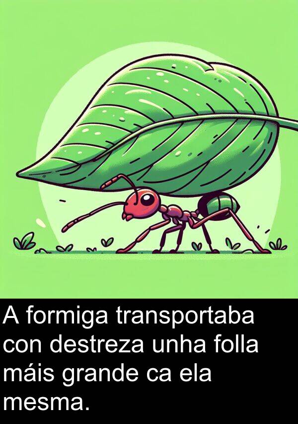 destreza: A formiga transportaba con destreza unha folla máis grande ca ela mesma.