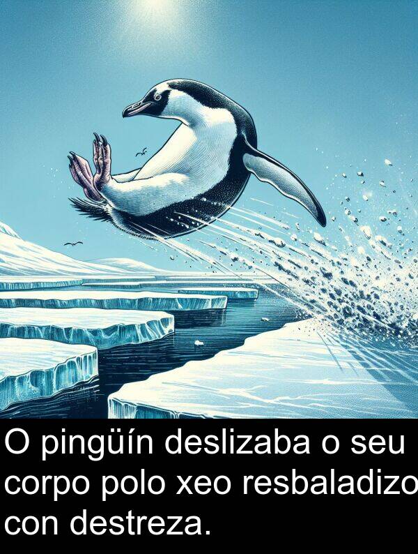 pingüín: O pingüín deslizaba o seu corpo polo xeo resbaladizo con destreza.