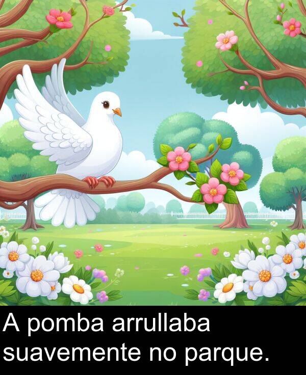 parque: A pomba arrullaba suavemente no parque.