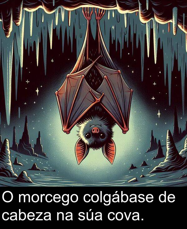 morcego: O morcego colgábase de cabeza na súa cova.