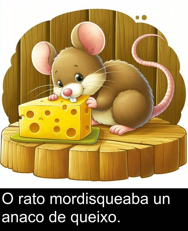 rato: O rato mordisqueaba un anaco de queixo.