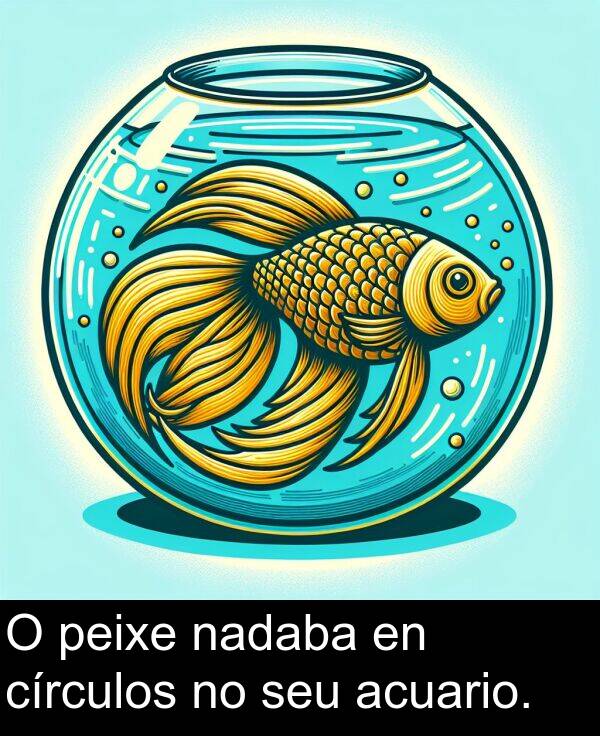 círculos: O peixe nadaba en círculos no seu acuario.